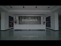 Professionelle Container-Fertigungsfabrik in China